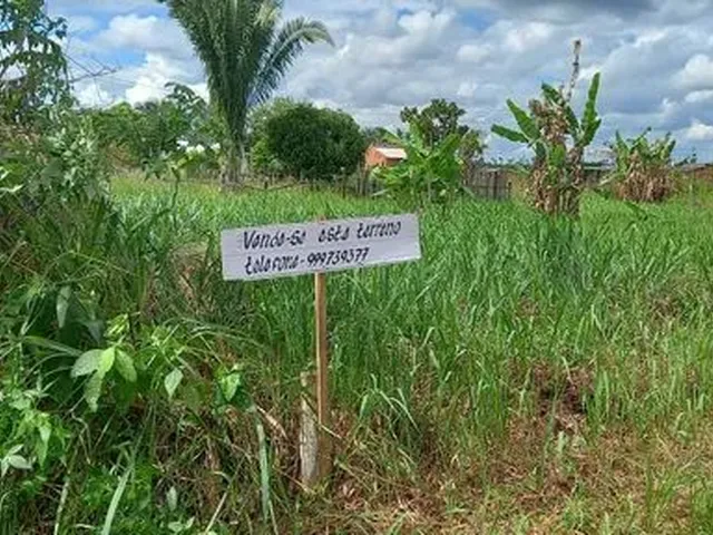Imagem: Vendedo