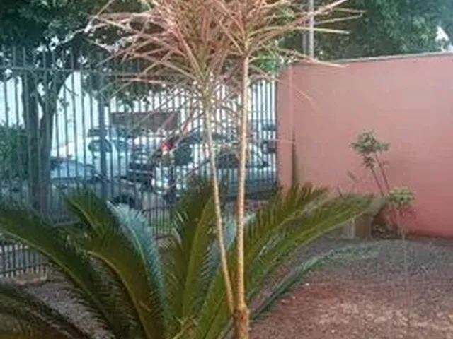 Imagem 12: Casa 3 Quartos Vila Nova Maringá