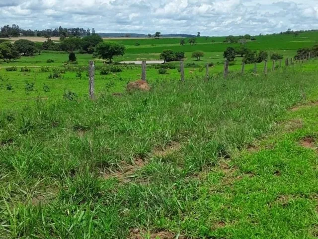 Imagem: Fazenda de porteira fechada na região de