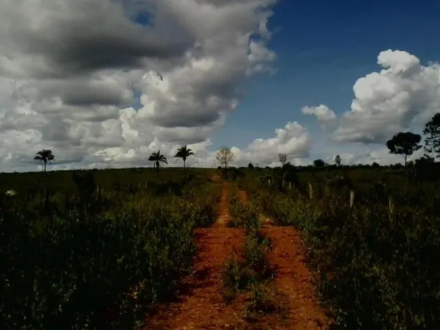 Imagem: Fazenda com 1.334 Alqueires na região de