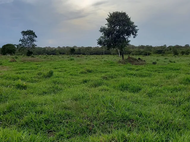 Imagem: Fazenda de 1.700 Alqueires na Região de