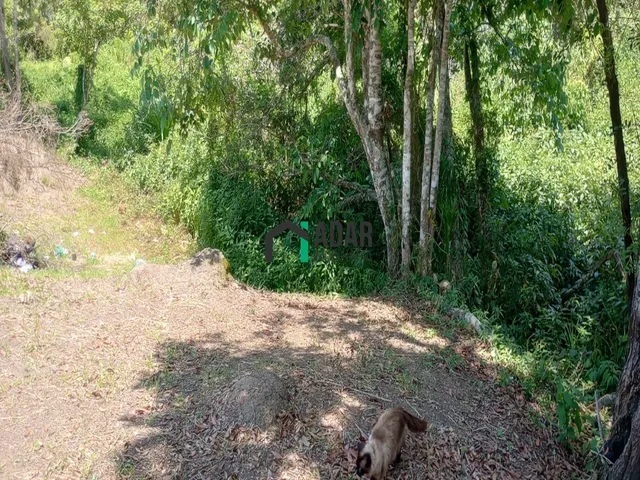 Imagem 8: Chacara Residencial em Ibiúna - Sp, Campininha