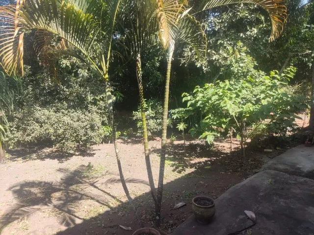 Imagem 5: Imperdível oportunidade: Casa à venda em Brasília-DF, Setor Habitacional Vicente