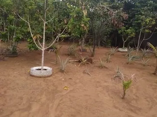 Imagem 2: Terreno Terreno / lote com venda por R$35.000