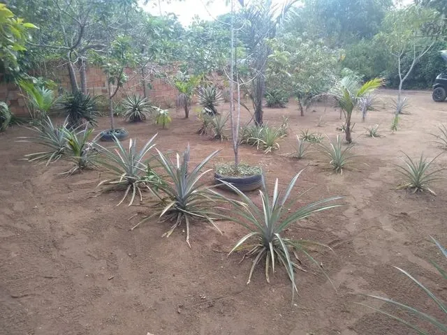 Imagem 3: Terreno Terreno / lote com venda por R$35.000