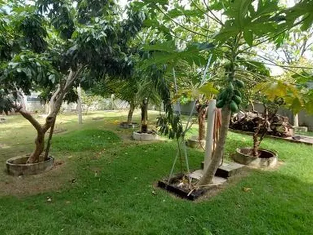 Imagem 1: Casa para Venda com 491 M² com 5 Quartos em Campeche - Florianópolis - Sc