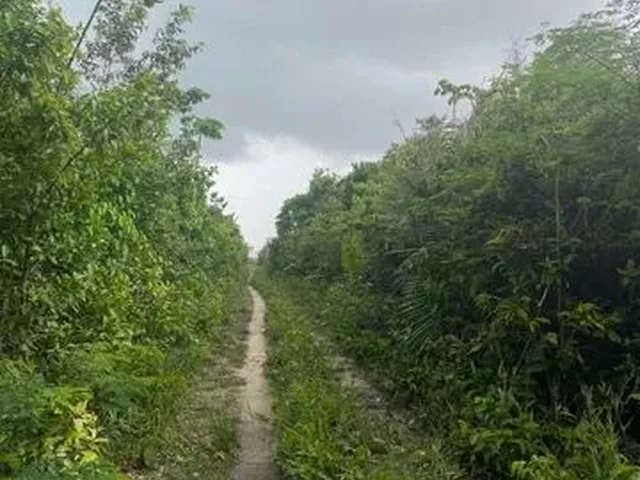 Imagem 1: Propriedade Rural em Alcântara/Ma