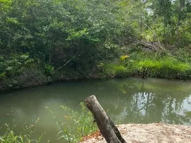 Imagem 4: Propriedade Rural em Alcântara/Ma