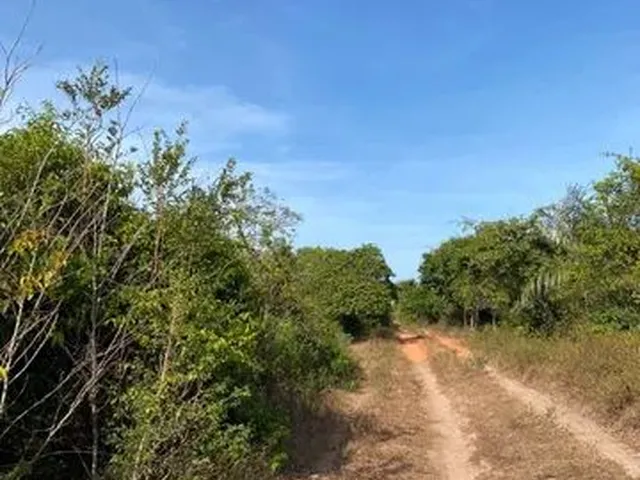 Imagem 2: Propriedade Rural em Alcântara/Ma