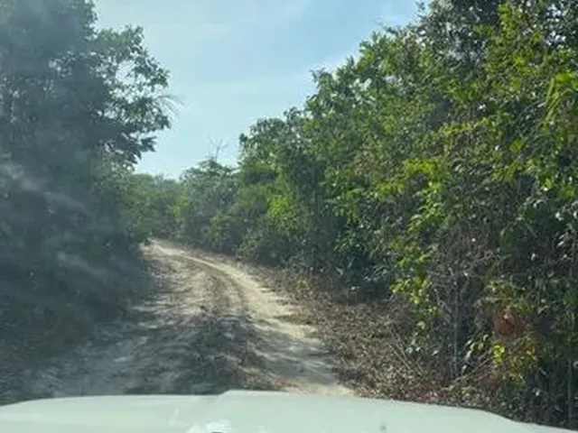 Imagem 5: Propriedade Rural em Alcântara/Ma