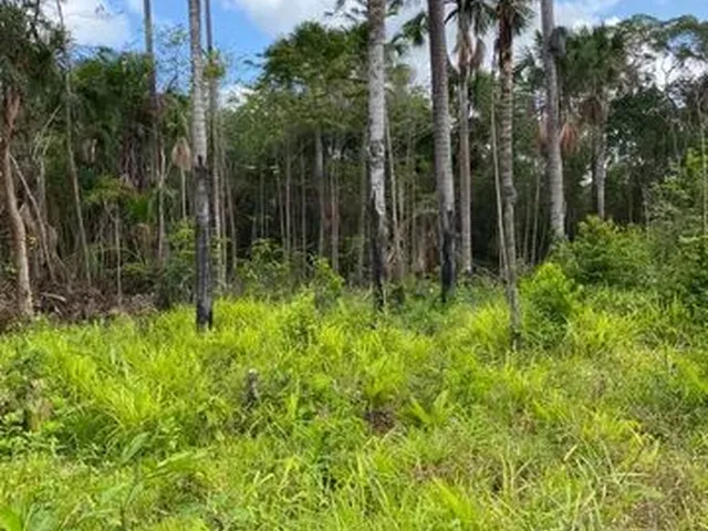 Imagem 6: Propriedade Rural em Alcântara/Ma