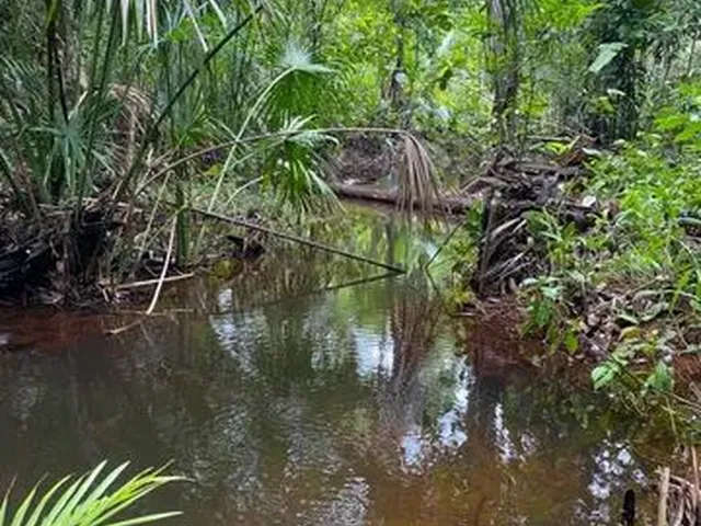 Imagem 3: Propriedade Rural em Alcântara/Ma