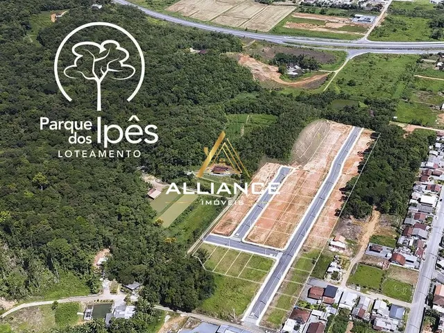 Imagem 3: Lote/Terreno - Schroeder