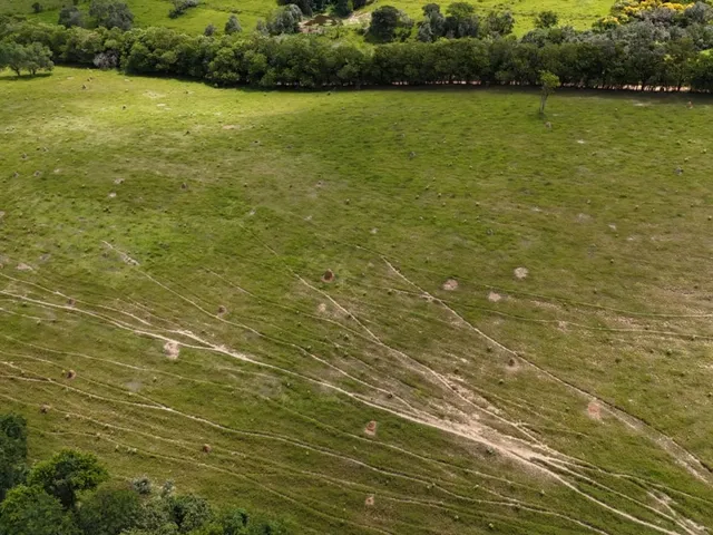 Imagem 5: 0 Fazenda / sítio com 3 dormitórios