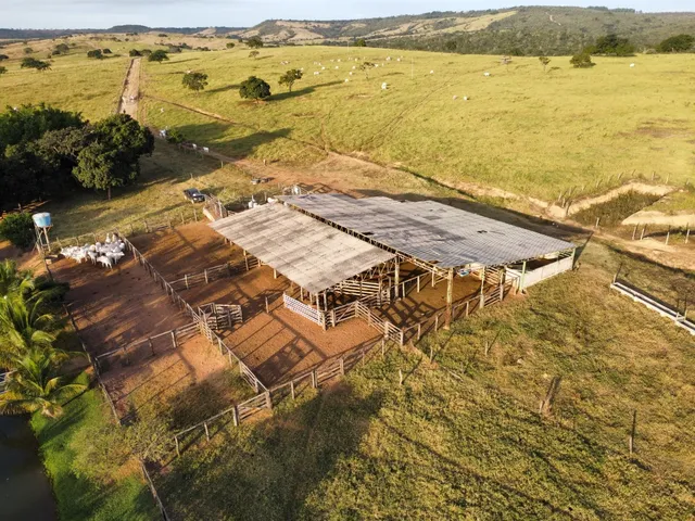Imagem 10: Fazenda Disponível pra Venda no município de Luziania. Goiás. 133...Alqueires. 15
