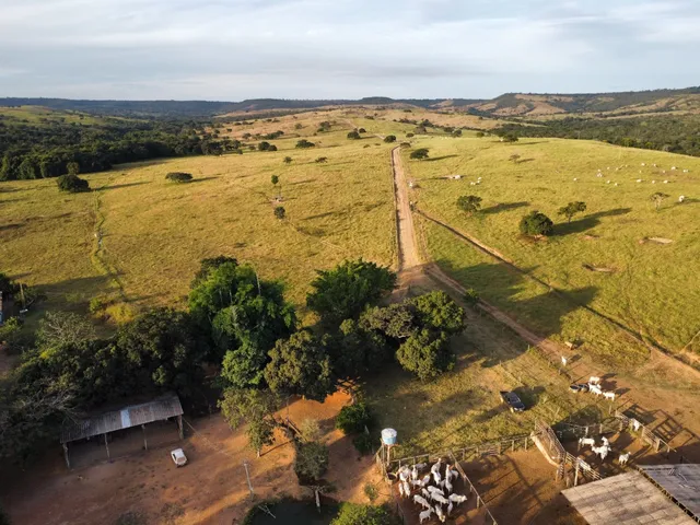 Imagem 7: Fazenda Disponível pra Venda no município de Luziania. Goiás. 133...Alqueires. 15