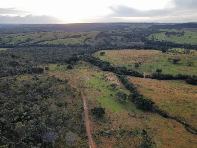 Imagem 4: Fazenda Disponível pra Venda no município de Luziania. Goiás. 133...Alqueires. 15