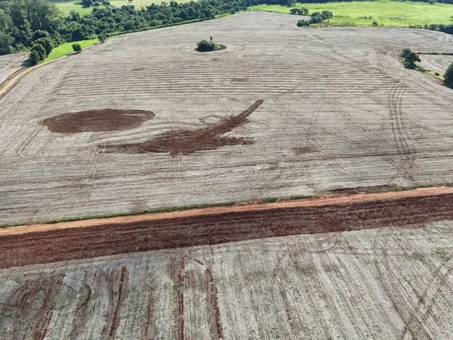 Imagem 11: 0 Fazenda / sítio com 1 dormitório