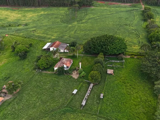 Imagem: EXCELENTE FAZENDA A VENDA NA REGIÃO DE
