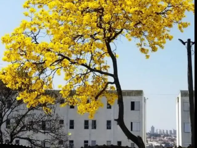 Imagem: Apartamento Pronto Parque dos Eucaliptos