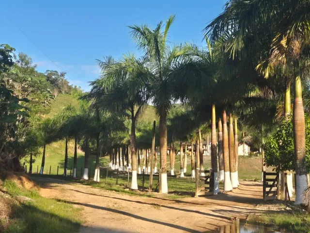 Imagem 9: *FAZENDA A VENDA NO VALE DO RIBEIRA - REGIÃO DE REGISTRO-SP* Área...