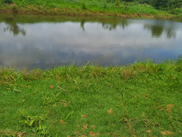 Imagem: Sitio em cesario lange 2 alqueires com lago