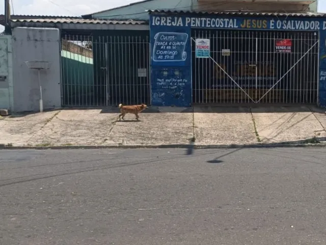 Imagem: Vendo casa no santa Lúcia 375 metros de