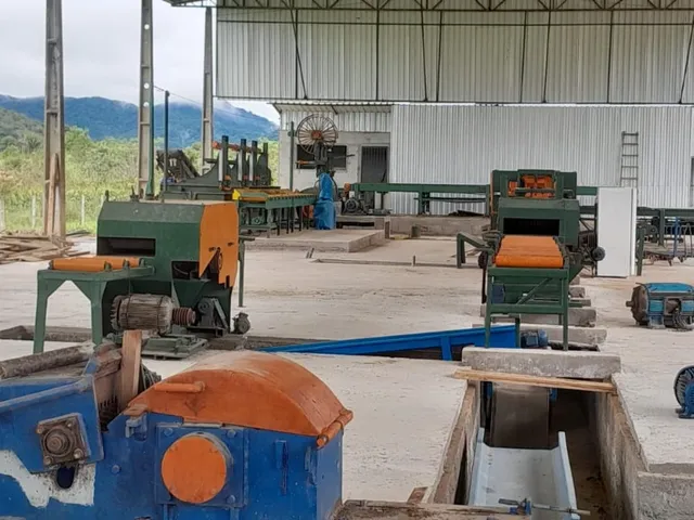 Imagem 12: FAZENDA COM EUCALIPTO A VENDA NO VALE DO RIBEIRA - REGIÃO DE REGISTRO-SP* ?? Área