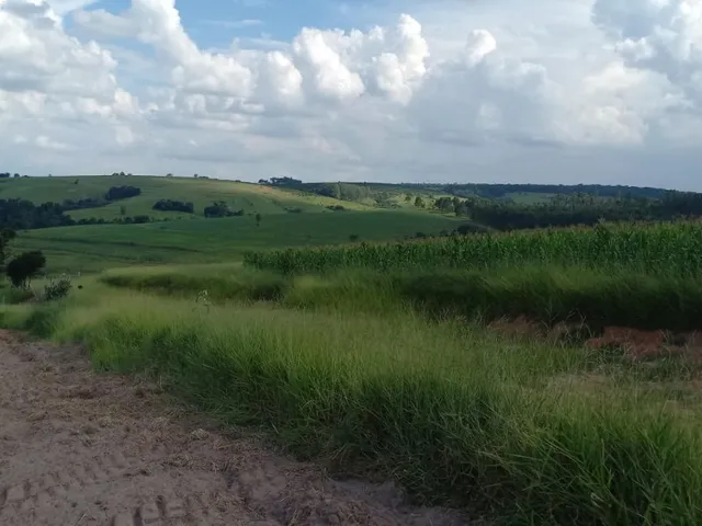 Imagem 6: Sítio À 30 Minutos de Tatuí Terras com Topografia Plana e Irregular, Agricultáveis