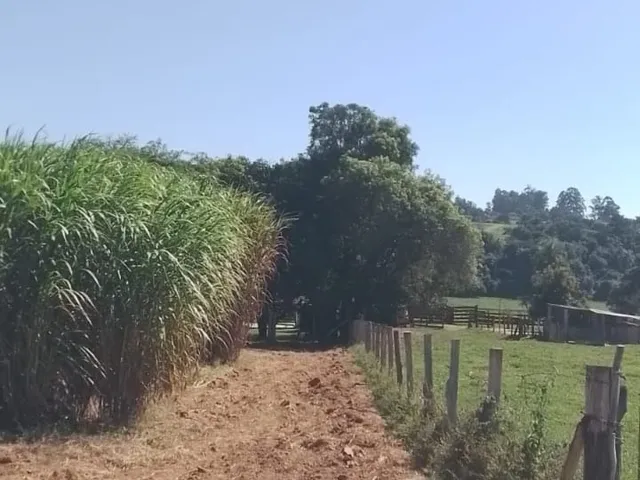 Imagem 16: Imperdível: Sitio à venda em Tatuí-SP com 2 quartos, 2 salas, 1 banheiro, 3 vagas de
