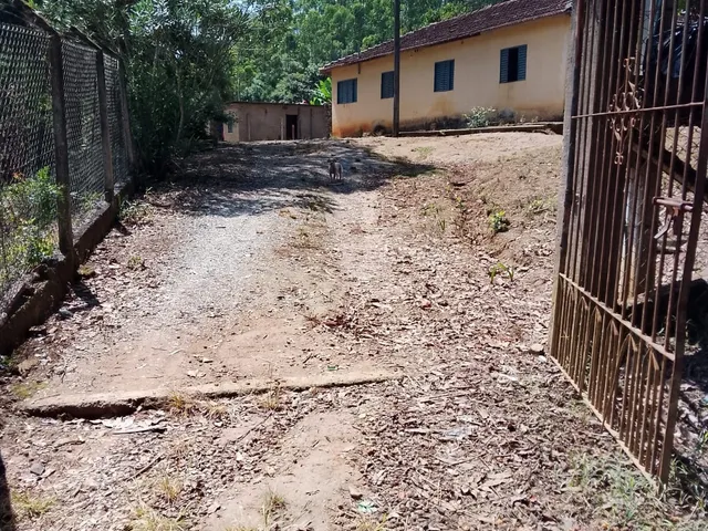 Imagem: Oportunidade de Negócio Fazenda a Venda