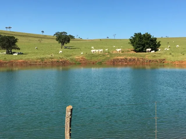 Imagem: Fazenda de Luxo à Venda em Corumbá de