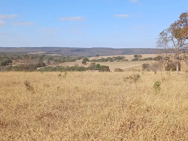 Imagem 8: Fazenda Disponível pra Venda......No Estado de Goiás........No município de Luziania