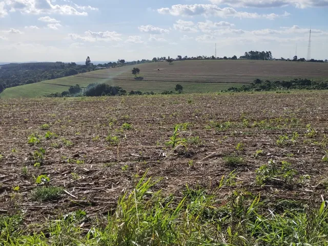 Imagem: Fazenda 50 Alqueires, 40 Alqueires Plantio