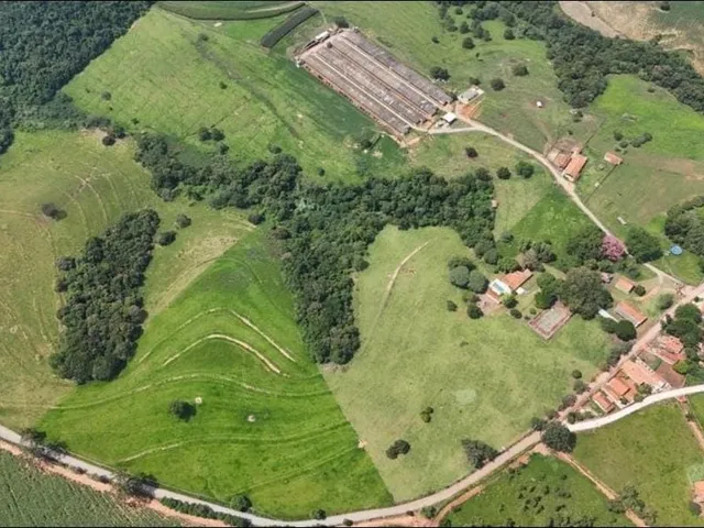 Imagem 14: Sítio Granja 23,8 Alqueires, Formada em Pasto Boa Topografia Terra de Lavoura