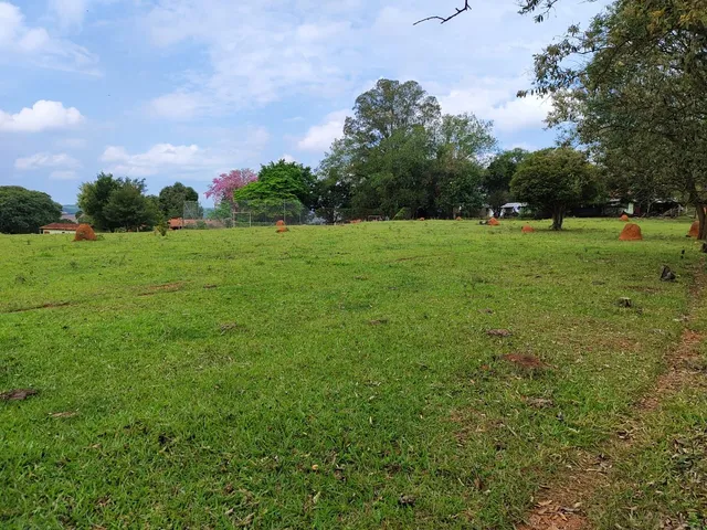 Imagem 10: Sítio Granja 23,8 Alqueires, Formada em Pasto Boa Topografia Terra de Lavoura