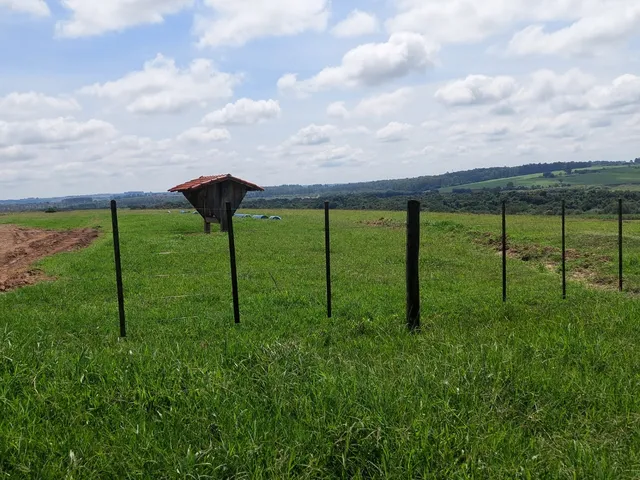 Imagem 7: Sítio 38 Alqueires 2 cocheiras com 42 baias no total. Estrutura totalmente preparada