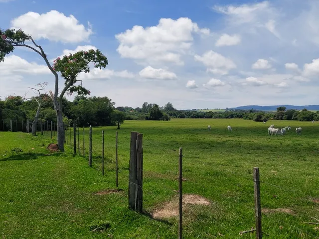 Imagem 13: Sítio 38 Alqueires 2 cocheiras com 42 baias no total. Estrutura totalmente preparada