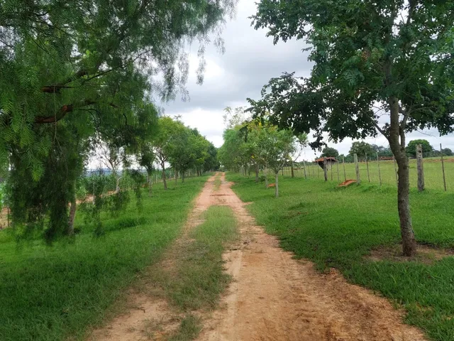 Imagem 11: Sítio 38 Alqueires 2 cocheiras com 42 baias no total. Estrutura totalmente preparada