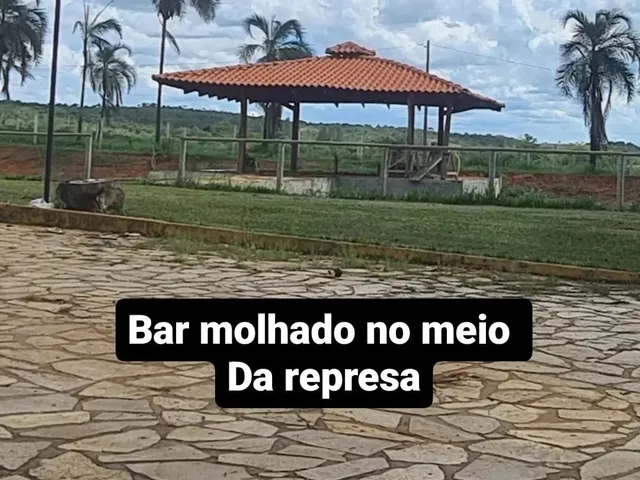 Imagem 10: Fazenda 95 Hectares dupla aptidão, Casa sede com salão de festas Piscina e
