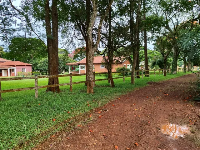 Imagem: Sitio 25 Alqueires - 20 Alqueires em Pasto