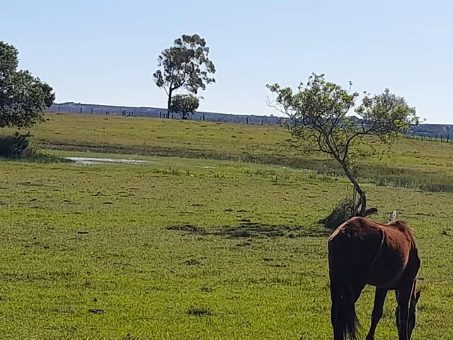 Imagem: Sítio 26,5 Alqueires, Rico em Água com