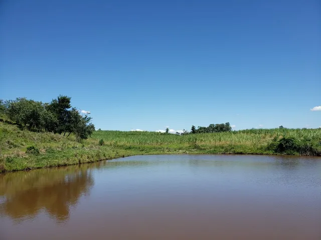 Imagem: Sítio 23 Alqueires, Rico em Água com Lago