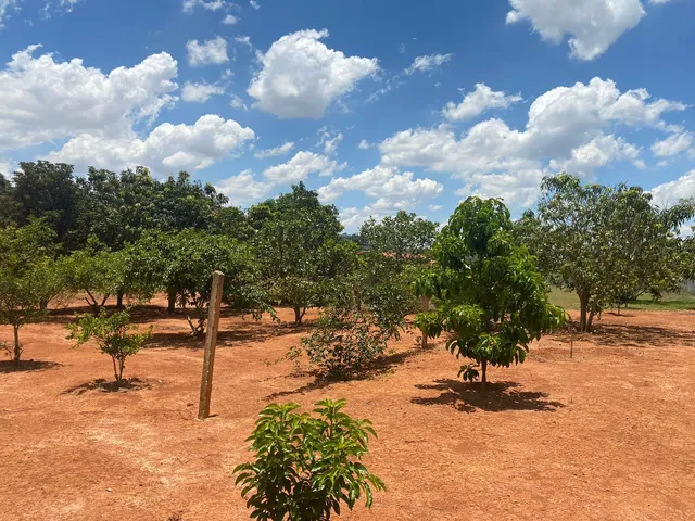 Imagem 14: Chácara 5mil m2, Casa Sede com 3 Suítes, Chále Grande Com Área Gourmet, Piscina