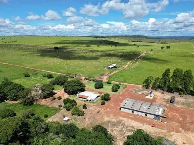 Imagem: Invista em Uma Fazenda de Ilp com Recursos