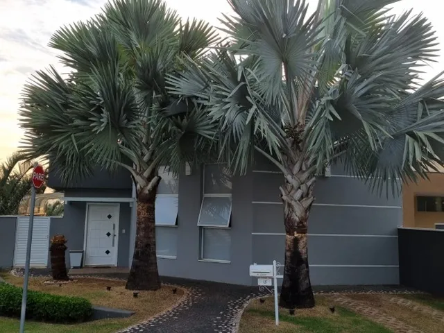 Imagem: Casa - Itu