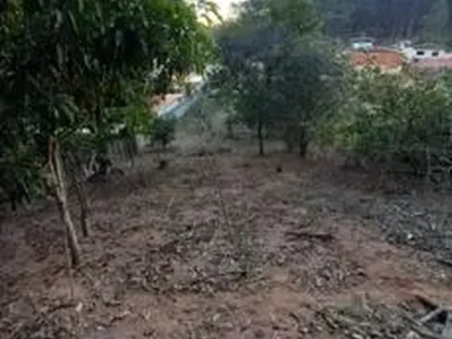 Imagem 5: Casa Casa com 4 dormitórios