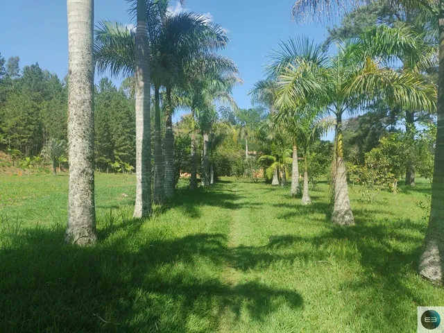 Imagem 7: Sítio alto padrão em Santa Isabel