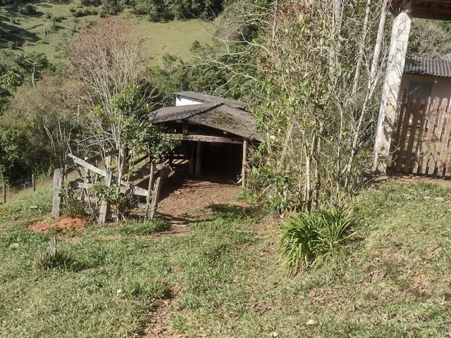 Imagem 12: Sítio em Salesópolis