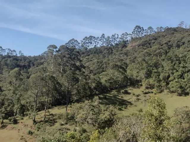 Imagem 10: Sítio em Salesópolis